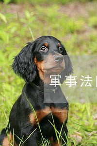 軍事法院不適合審理民事案件 軍事法院不適合審理民事案件
