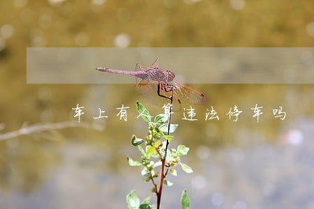 车上有人算违法停车吗 车上有人算违法停车吗