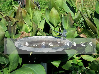 车上有电子狗违法吗 车上有电子狗违法吗
