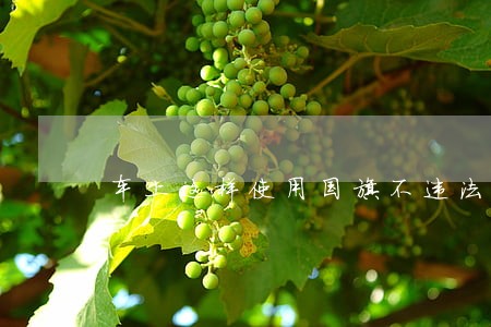 车上这样使用国旗不违法 车上这样使用国旗不违法