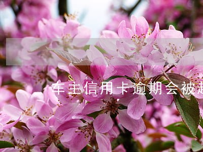 车主信用卡逾期会被起诉吗 车主信用卡逾期会被起诉吗