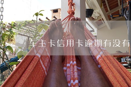 车主卡信用卡逾期有没有意外险 车主卡信用卡逾期有没有意外险
