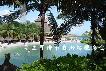 车主可持卡自助处理交通违法记分