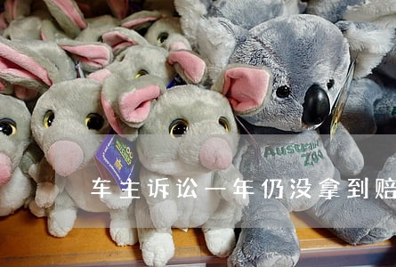 车主诉讼一年仍没拿到赔偿 车主诉讼一年仍没拿到赔偿