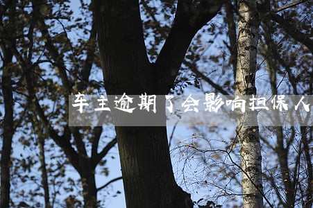 车主逾期了会影响担保人的信用吗 车主逾期了会影响担保人的信用吗