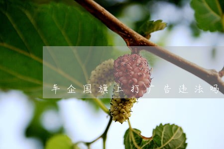 车企国旗上打广告违法吗 车企国旗上打广告违法吗