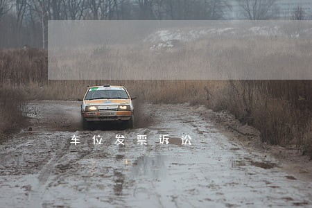 车位发票诉讼 车位发票诉讼