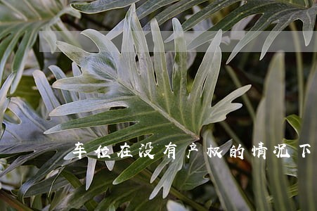 车位在没有产权的情况下违法出售 车位在没有产权的情况下违法出售