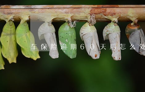 车保险逾期60天后怎么处理 车保险逾期60天后怎么处理