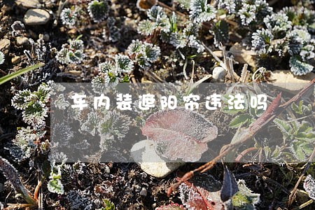 车内装遮阳帘违法吗 车内装遮阳帘违法吗