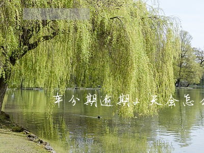 车分期逾期2天会怎么样 车分期逾期2天会怎么样