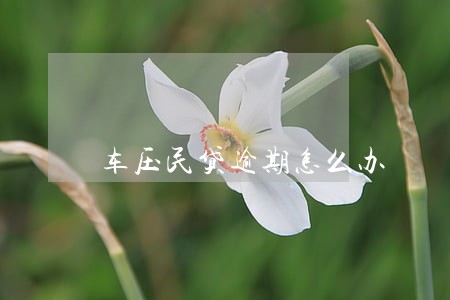 车压民贷逾期怎么办 车压民贷逾期怎么办