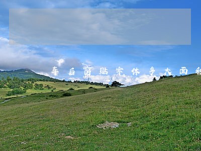 车后窗贴字体多大面积算违法 车后窗贴字体多大面积算违法