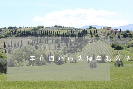 车在道路违法停车怎么举报 车在道路违法停车怎么举报