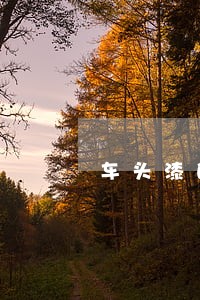 车头漆的颜色与车身不一样违法吗 车头漆的颜色与车身不一样违法吗