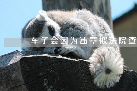 车子会因为违章被法院查封吗 车子会因为违章被法院查封吗