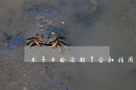 车子年检逾期了会扣信用吗 车子年检逾期了会扣信用吗