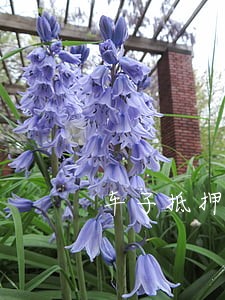 车子抵押贷款可以只还本金吗 车子抵押贷款可以只还本金吗