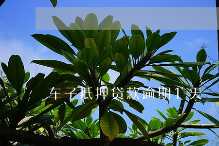 车子抵押贷款逾期1天 车子抵押贷款逾期1天