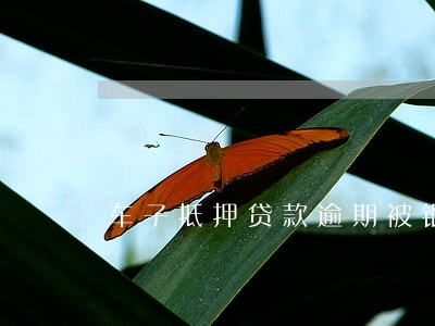车子抵押贷款逾期被银行起诉 车子抵押贷款逾期被银行起诉