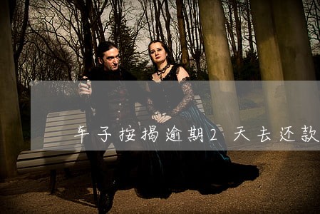 车子按揭逾期2天去还款 车子按揭逾期2天去还款