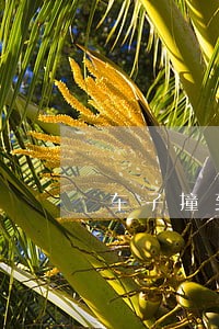 车子撞到石墩 车子撞到石墩