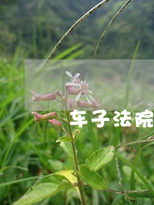 车子法院以物抵债可以过户吗 车子法院以物抵债可以过户吗