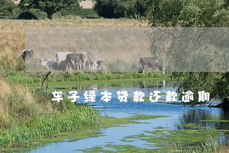 车子绿本贷款还款逾期 车子绿本贷款还款逾期