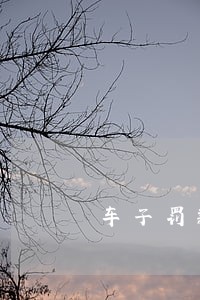 车子罚款逾期2个月