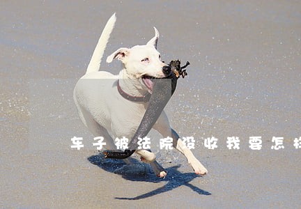 车子被法院没收我要怎样去销户 车子被法院没收我要怎样去销户