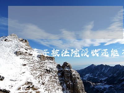车子被法院没收还能不能要回来 车子被法院没收还能不能要回来
