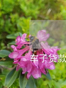 车子贷款多久算逾期 车子贷款多久算逾期