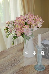 车子贷款逾期多久上征信 车子贷款逾期多久上征信
