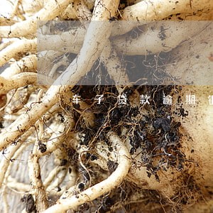车子贷款逾期银行会怎么办 车子贷款逾期银行会怎么办