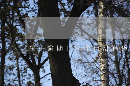 车子逾期13个月没有还贷款 车子逾期13个月没有还贷款