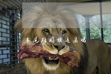 车尾贴国旗违法吗 车尾贴国旗违法吗