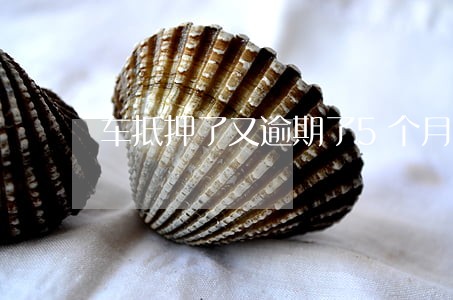 车抵押了又逾期了5个月 车抵押了又逾期了5个月