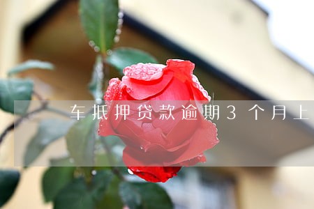 车抵押贷款逾期3个月上征信吗 车抵押贷款逾期3个月上征信吗