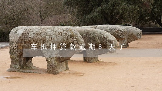 车抵押贷款逾期8天了 车抵押贷款逾期8天了
