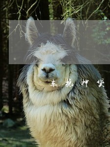 车抵押贷款逾期几个月了 车抵押贷款逾期几个月了