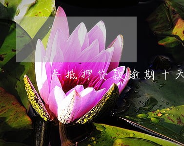 车抵押贷款逾期十天车开走 车抵押贷款逾期十天车开走