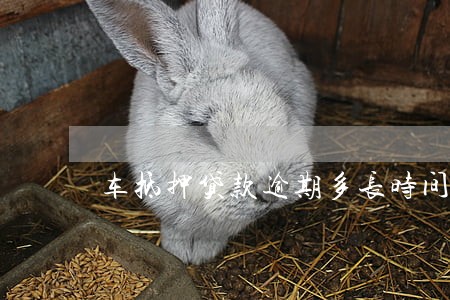 车抵押贷款逾期多长时间收车 车抵押贷款逾期多长时间收车