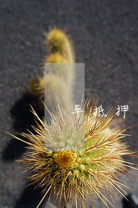车抵押贷款逾期征信 车抵押贷款逾期征信
