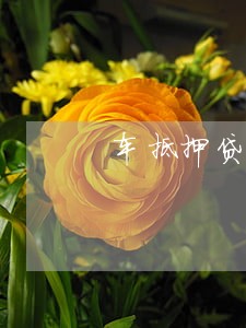 车抵押贷款逾期被扣了