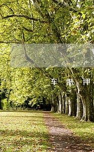 车抵押银行逾期2年 车抵押银行逾期2年