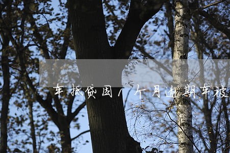 车抵贷因1个月逾期车被开走 车抵贷因1个月逾期车被开走