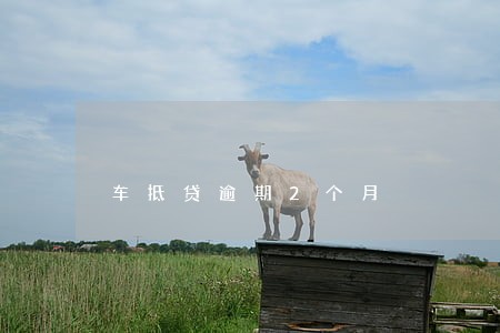 车抵贷逾期2个月