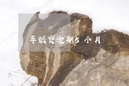 车抵贷逾期5个月