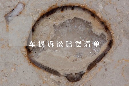 车损诉讼赔偿清单 车损诉讼赔偿清单