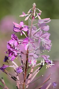 车撞上石墩子 车撞上石墩子